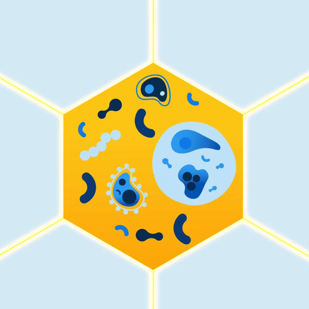 Placeholder Image